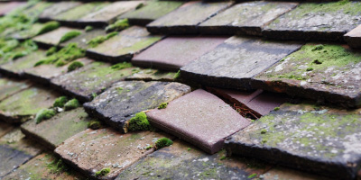 Shurdington roof repair costs